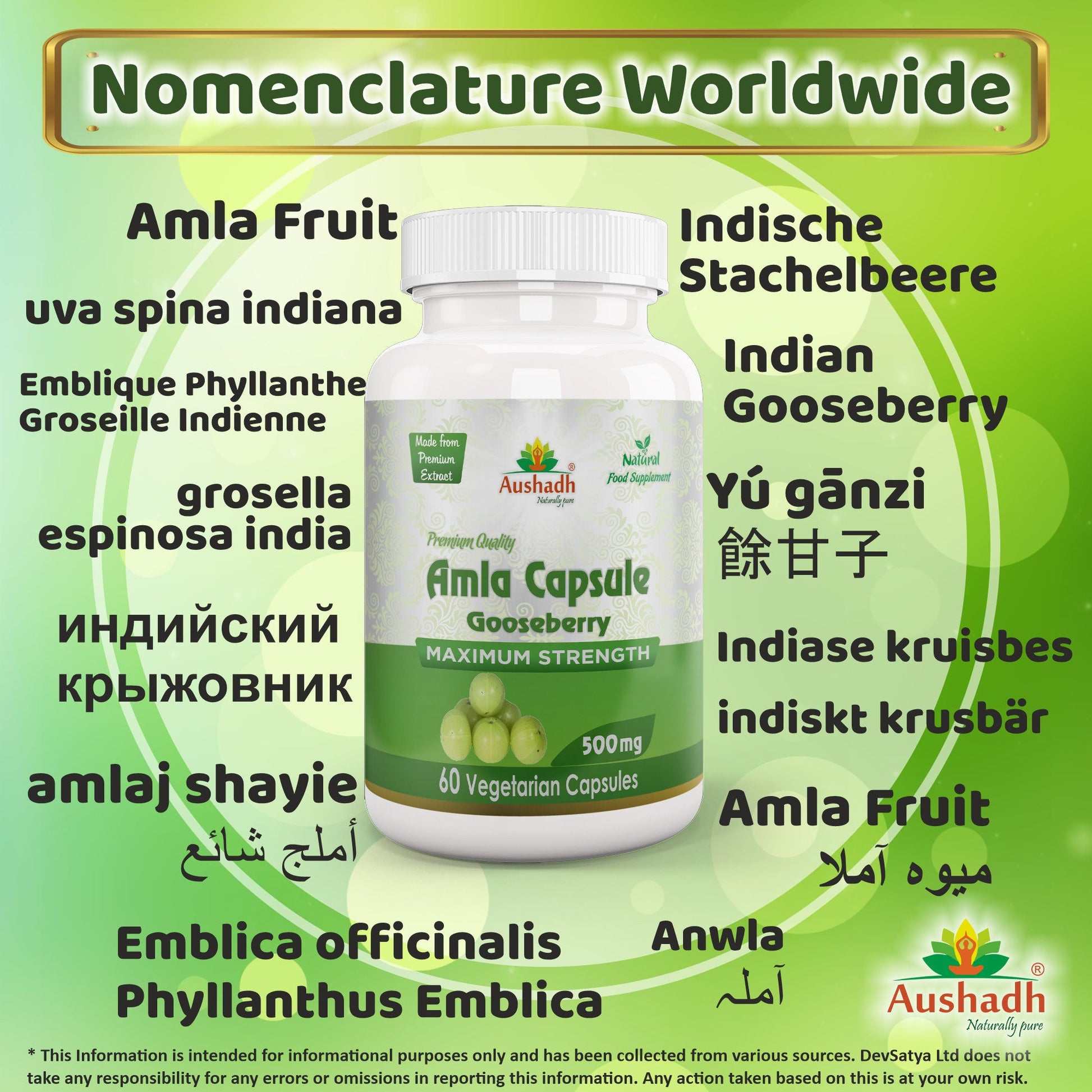Amla Fruit (Gooseberry) Capsule-2