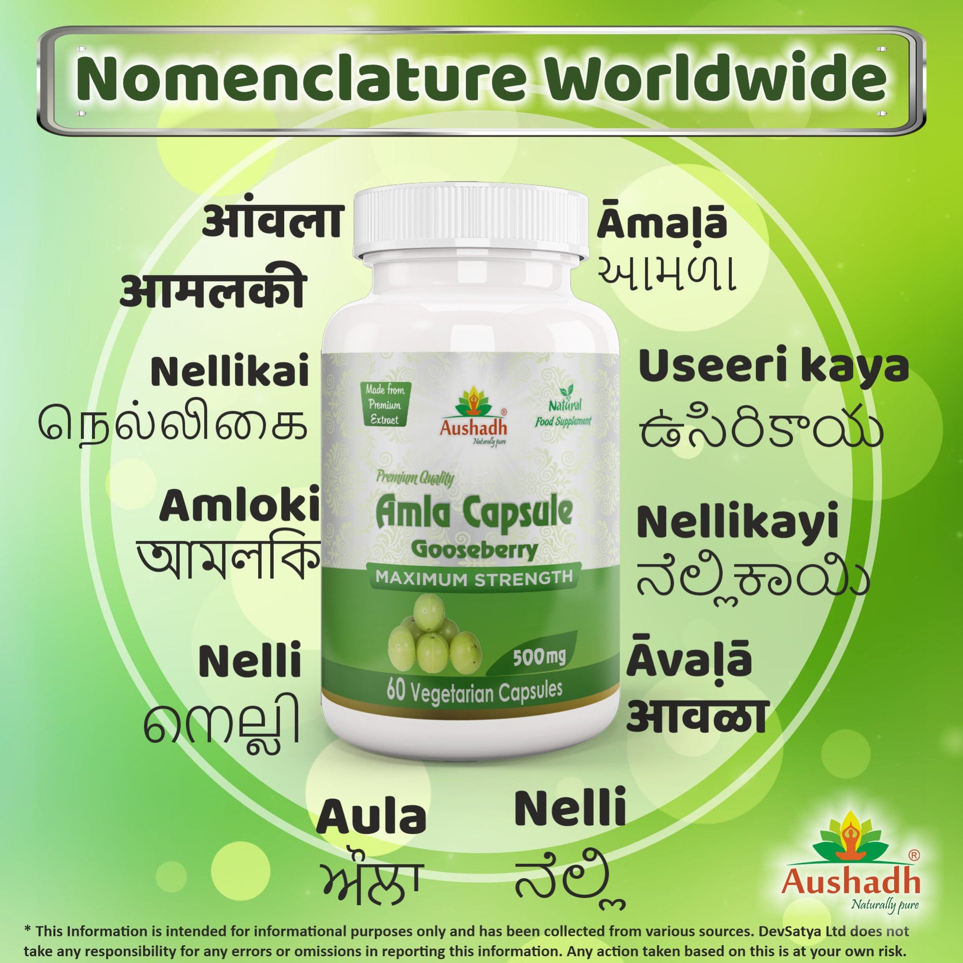 Amla Fruit (Gooseberry) Capsule-3