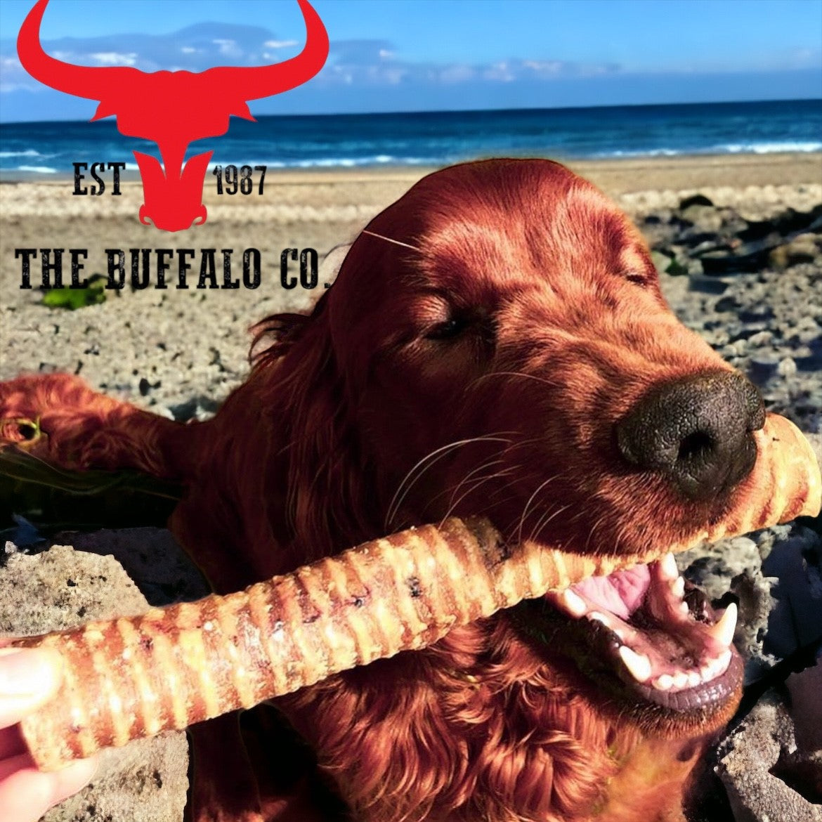 Buffalo Trachea Rounds-Dog Treats-100g-2