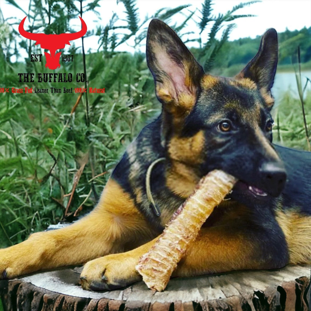Buffalo Trachea Rounds-Dog Treats-100g-4